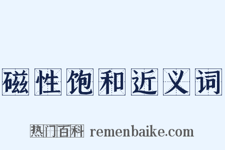 磁性饱和近义词是什么意思的图片